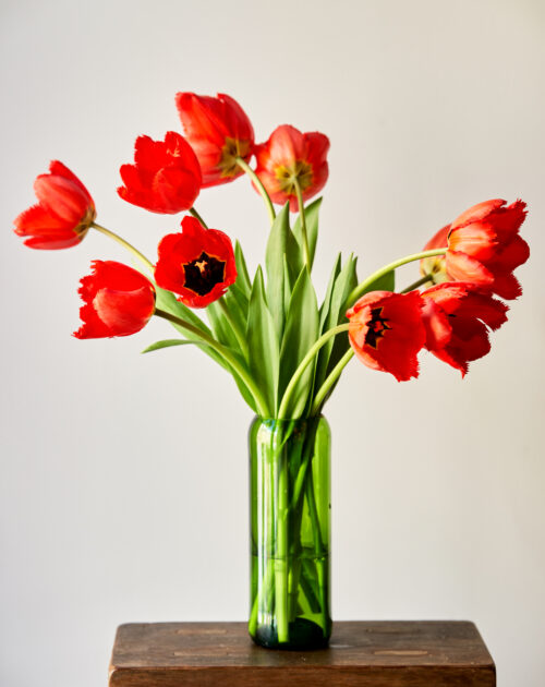 vase bouteille vert recyclé upcycling tulipes belges fleurs livraison bouquet