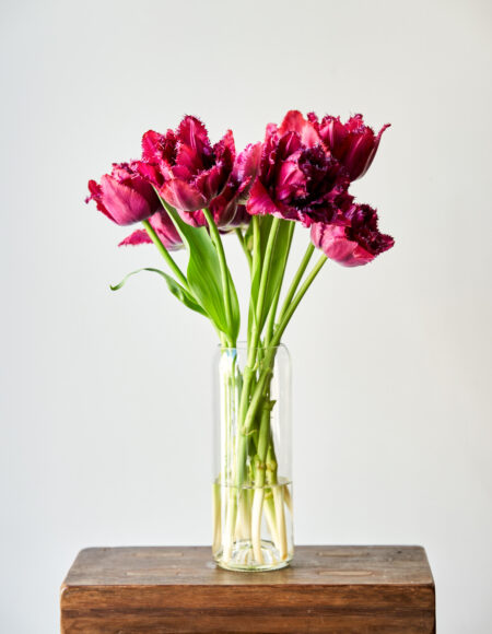botte tulipes belges livraison bruxelles belgique
