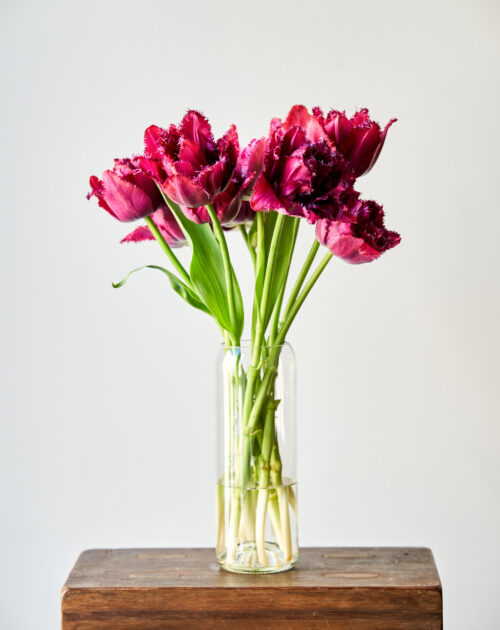 botte tulipes belges livraison bruxelles belgique