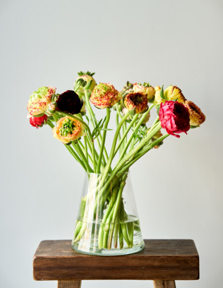 fleurs belges livraison bruxelles renoncules