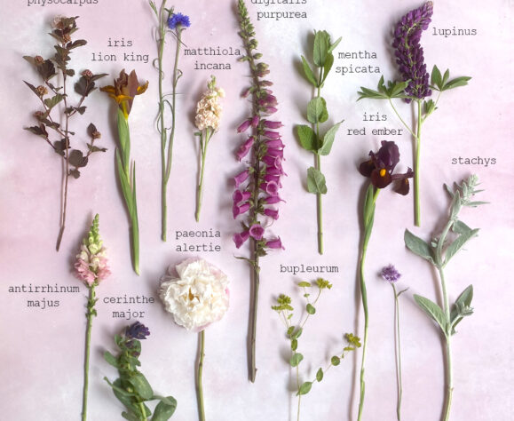 Les fleurs de mai